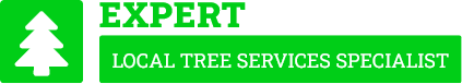 Cronulla Tree Removal - Tree Removal Sydney